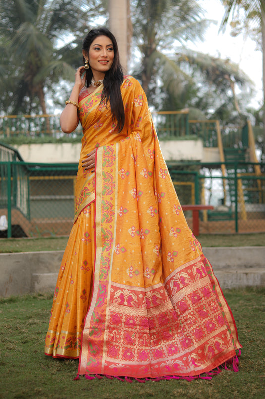 Beautiful and Premium Organza Silk Sarees