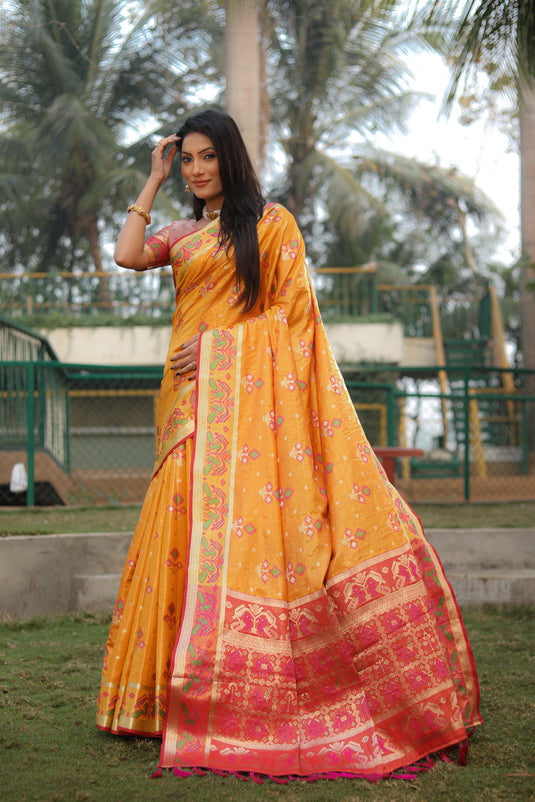 Beautiful and Premium Organza Silk Sarees