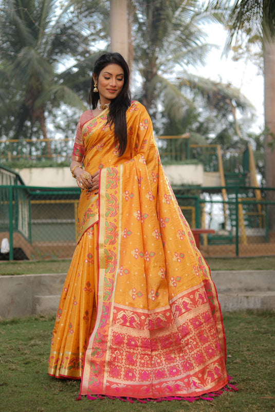 Beautiful and Premium Organza Silk Sarees