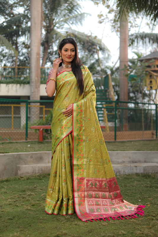 Beautiful and Premium Organza Silk Sarees