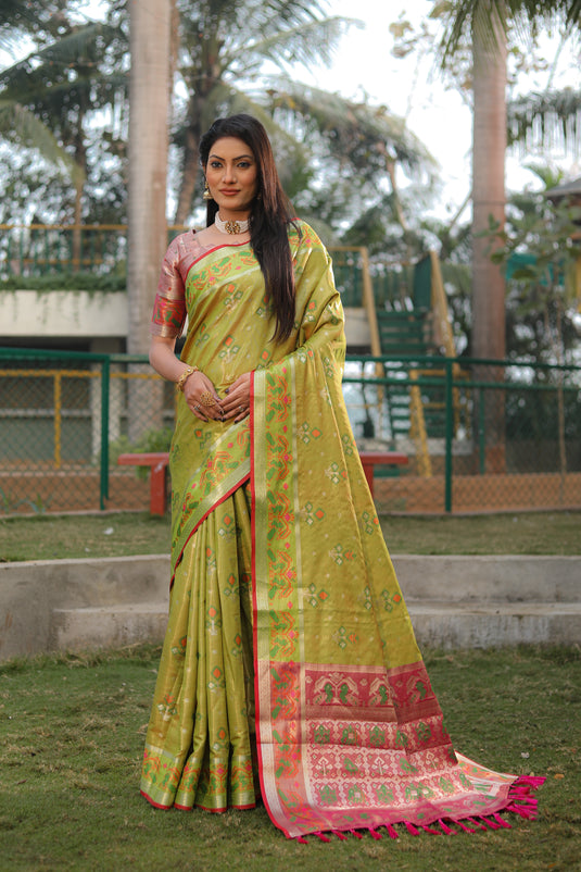 Beautiful and Premium Organza Silk Sarees