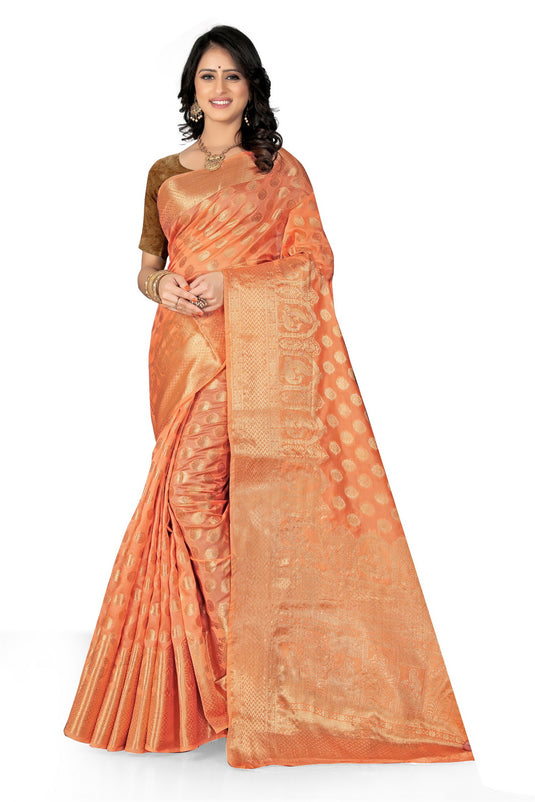 Enchanting Elegance: The Organza Symphony Saree - thevendorvilla