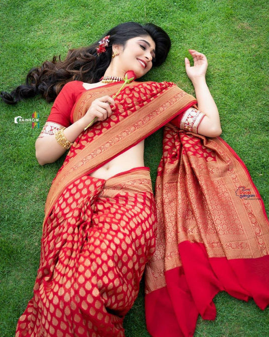 Beautiful Rich Pallu & Jaccquard Work On All Over Saree - thevendorvilla