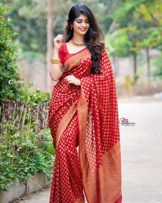 Beautiful Rich Pallu & Jaccquard Work On All Over Saree - thevendorvilla