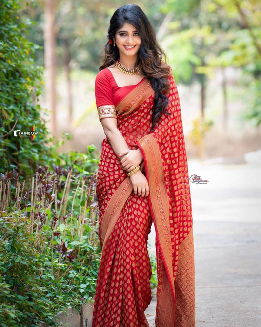 Beautiful Rich Pallu & Jaccquard Work On All Over Saree - thevendorvilla