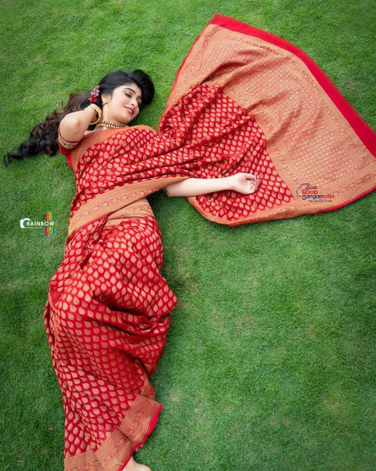 Beautiful Rich Pallu & Jaccquard Work On All Over Saree - thevendorvilla